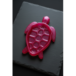 Plateau Tortue